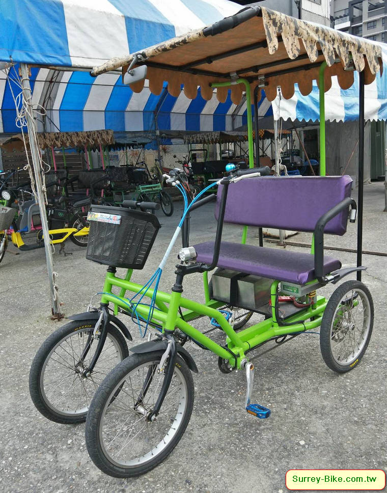 Lovers Bicycle Tourist Cart Electric Motor